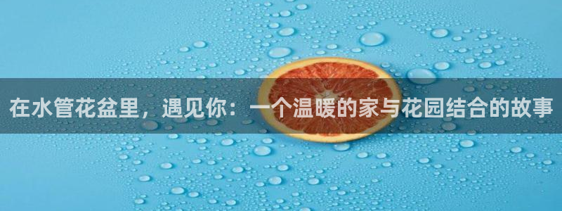 球盟会在线登入