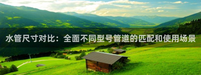 球盟会游戏几点玩合适