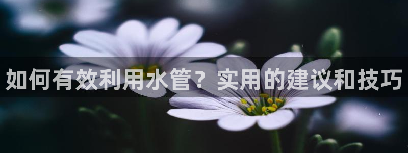 球盟会官方网页登录