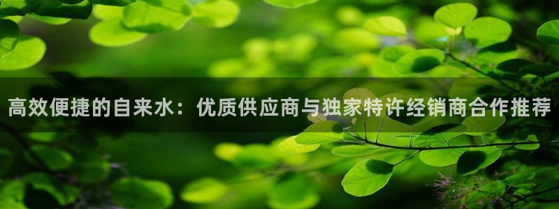 球盟会官网入口