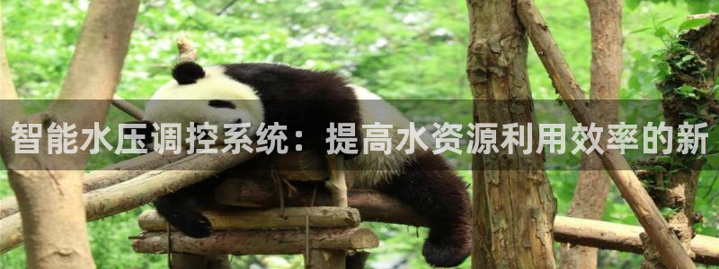 球盟会app最新地址下载