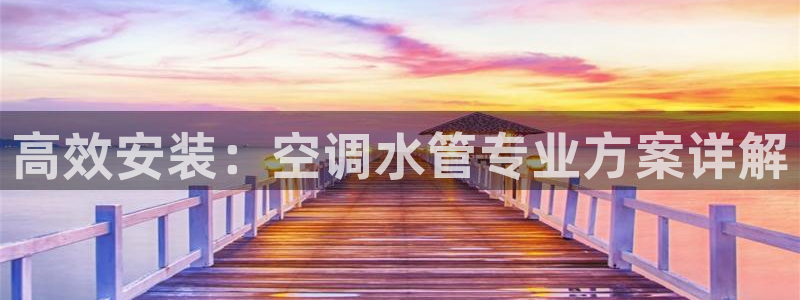 球盟会App