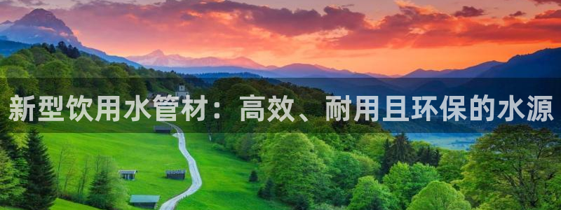 球盟会和中欧