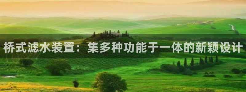球盟会黑钱
