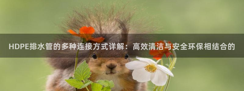 球盟会和中欧合作吗