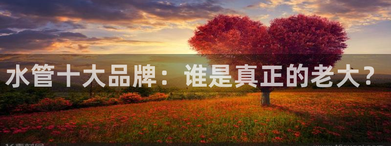 球盟会登录网址