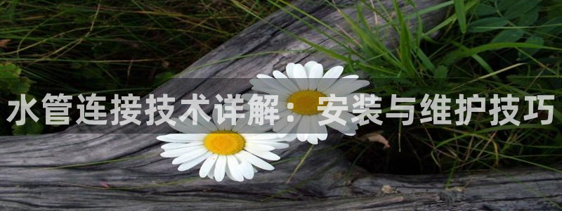 球盟会有限公司怎么样