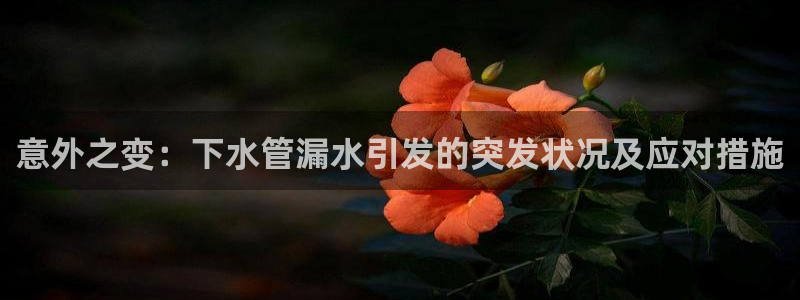 球盟会登录网址