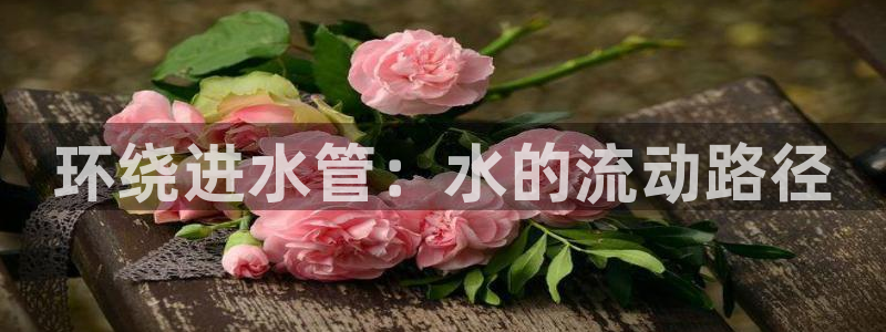 球盟会有没有黑单的人