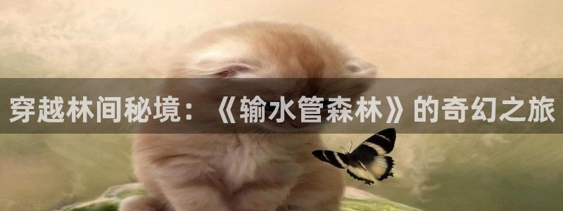球盟会APP最新地址