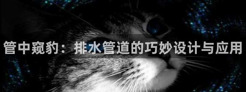 球盟会app最新地址在哪看