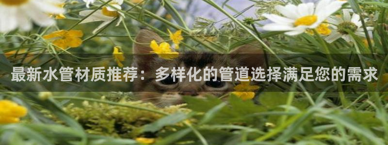 球盟会能退钱吗现在