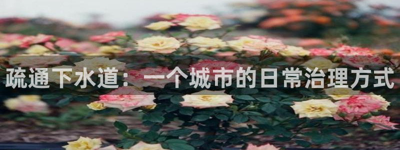 球盟会app最新地址在哪