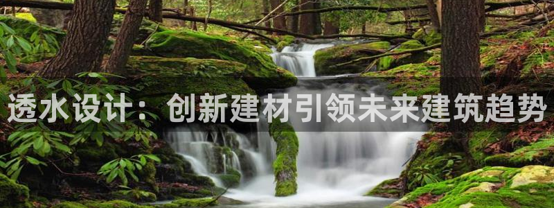 球盟会app网址多少号