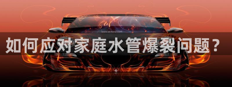 球盟会最新活动