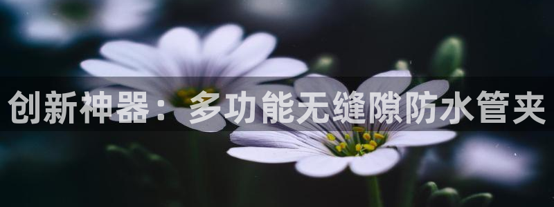 球盟会官网登录入口