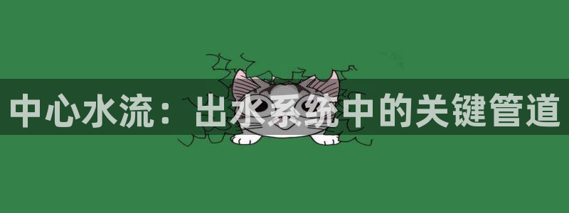 球盟会平台会黑单吗
