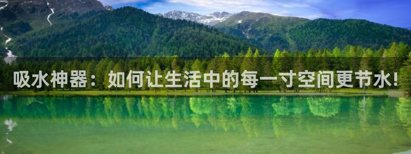球盟会和中欧会的区别