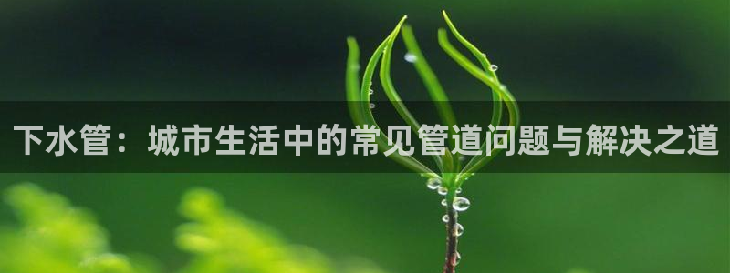 球盟会官方入口