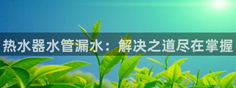 球盟会登陆中心