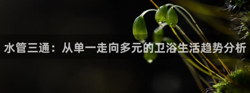 球盟会电子好黑