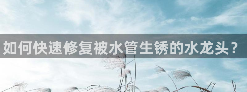 球盟会app手机登录