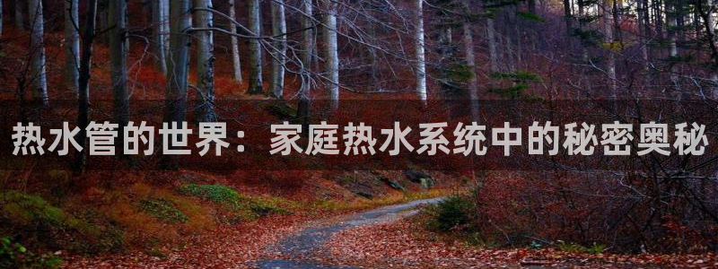 球盟会官方网址入口