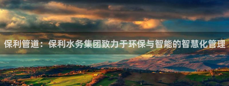 球盟会黑平台