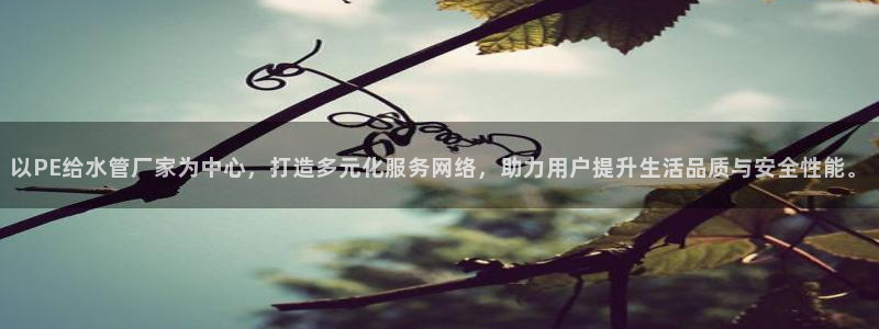 球盟会有没有黑单的活动
