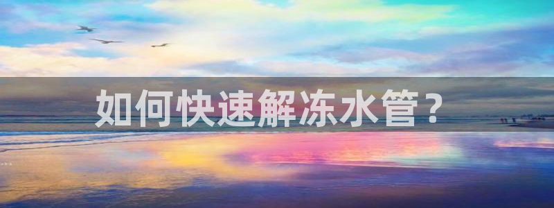 球盟会体验金