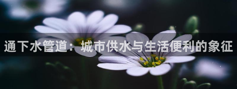 球盟会进不去