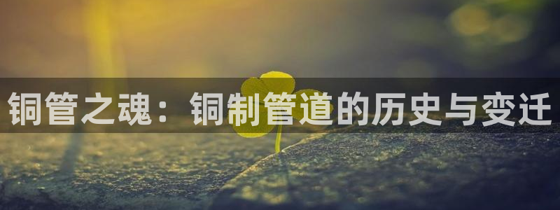 球盟会app最新地址在哪