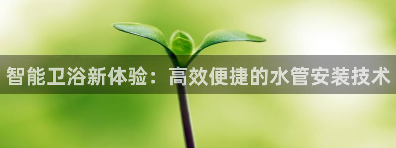 球盟会手机网页版