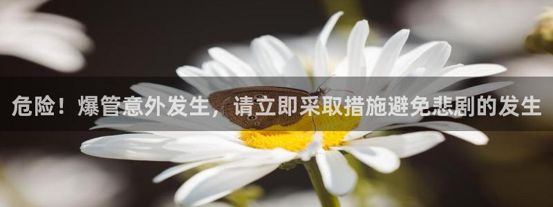 球盟会下款快吗