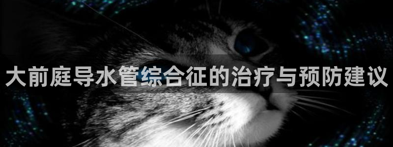 球盟会进不去