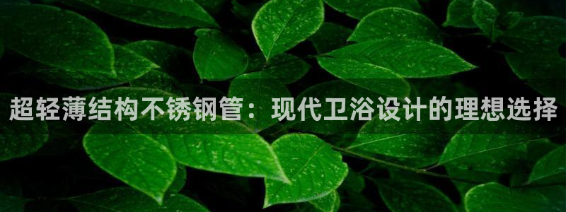 球盟会黑钱