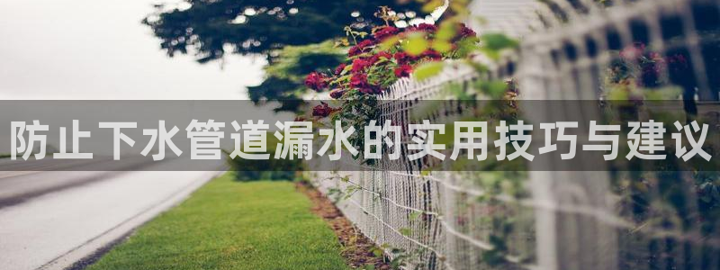 球盟会app最新地址在哪里