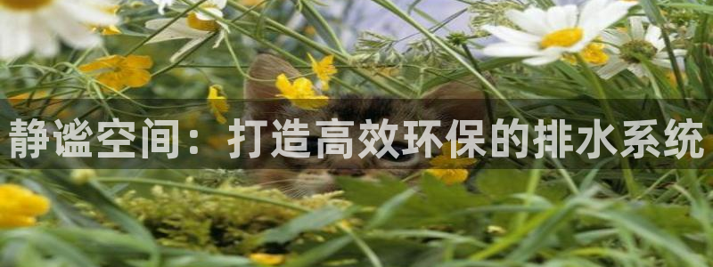 球盟会能提现吗是真的吗