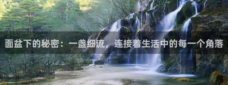 球盟会可以提现么