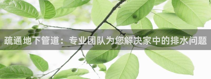 球盟会手机网页版