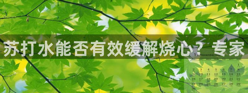 球盟会网页登录