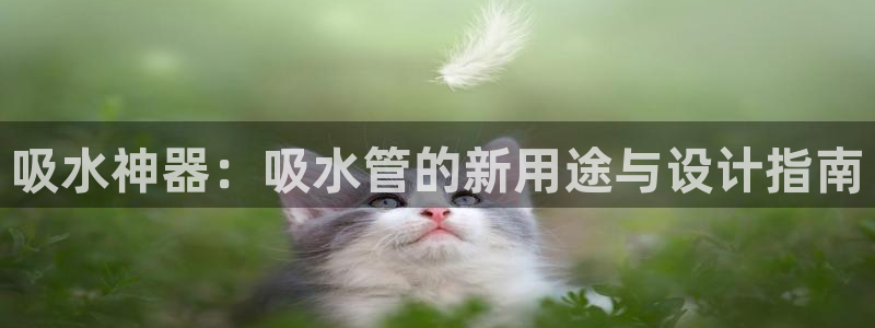 球盟会优惠领取网站