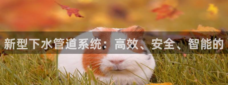 球盟会电子游戏平台