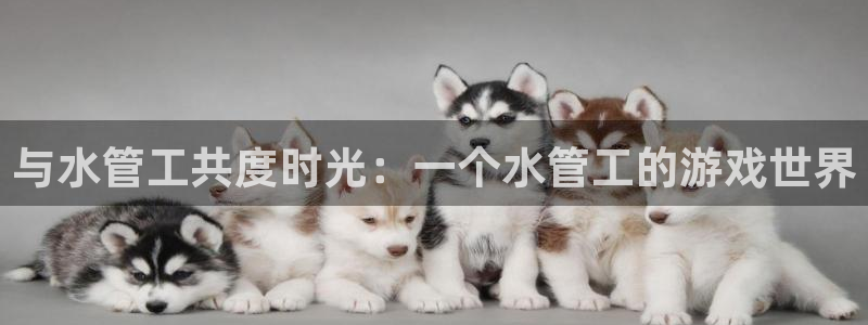 球盟会电子好黑