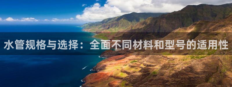 球盟会官方网站