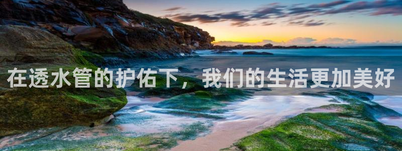 球盟会在线登录