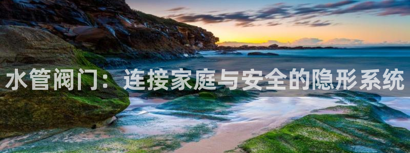 球盟会在线登录官网