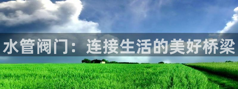 球盟会qmh网页版登录 - qm球盟会官方网站