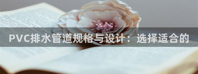 球盟会电子好下吗