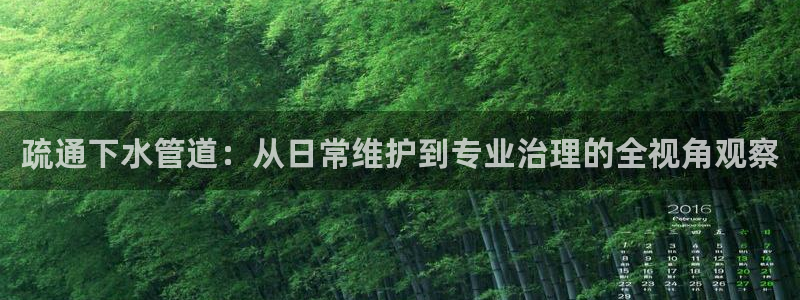 球盟会网址多少
